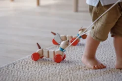 PlanToys Happy Puppy trekspeeltje - Outlet