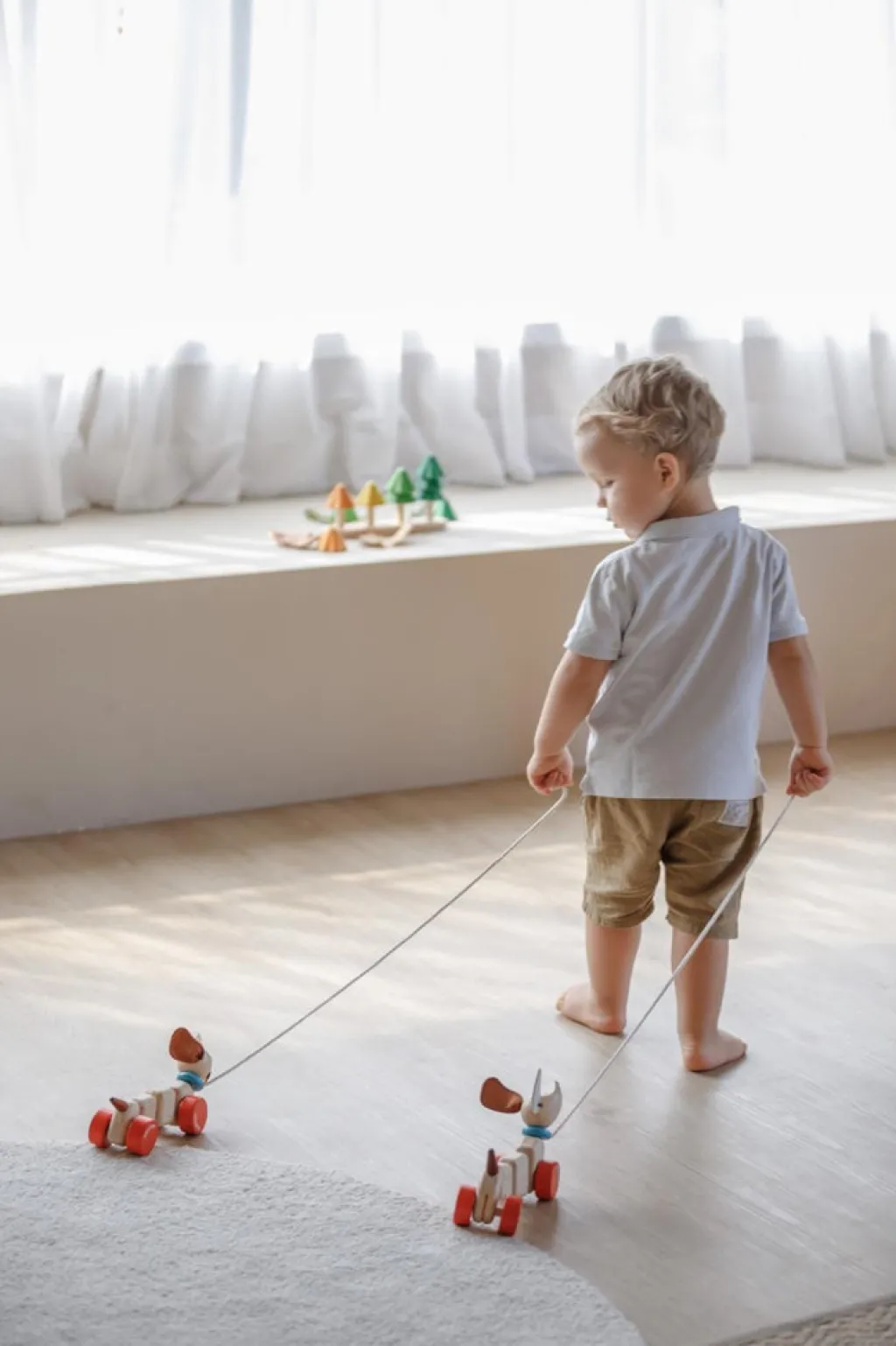 PlanToys Happy Puppy trekspeeltje - Outlet