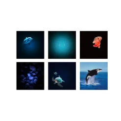 Kidywolf Kidystar - Beeldprojector Planetarium - Groen Ocean - Outlet