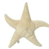 Senger Naturwelt Knuffel zeester met warmtekussen pitjes - Large - New