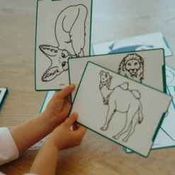 Kidywolf Refill voor Kidydraw Mini tekentablet - Animals Around the World & Oceans and Pirates - Best