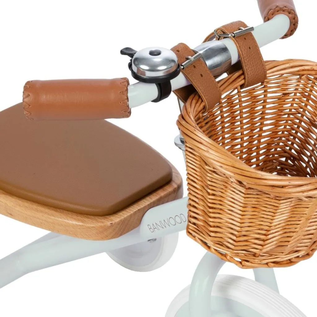 Banwood Trike driewieler - Pale Mint - Hot