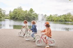 Banwood Vintage Icon loopfiets - Sage - Clearance